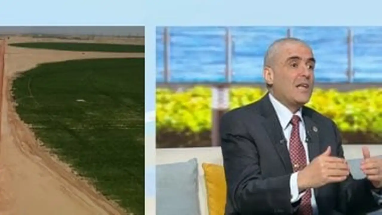 جهاز مستقبل مصر يسجل إنتاج مليوني طن من بنجر السكر سنويًا